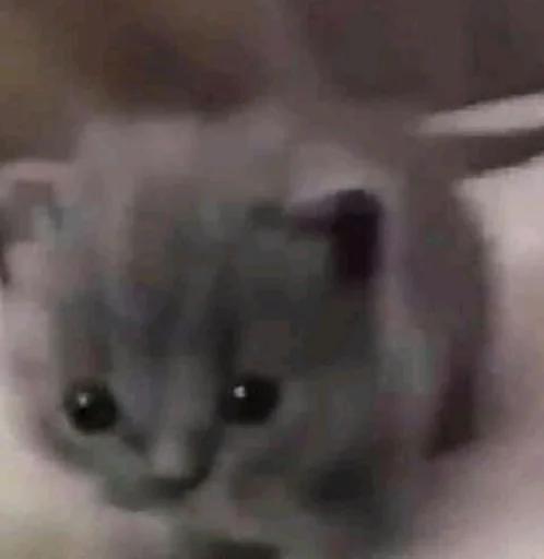 Sticker jonas Steal Pack - 0