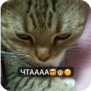 Стикер Стики от камня💋 - 6