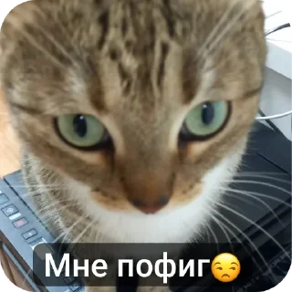 Стикер Стики от камня💋 - 2