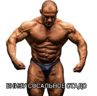 Sticker ФЖБР - 1