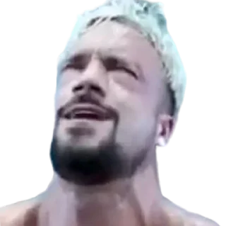 Sticker ФЖБР - 8