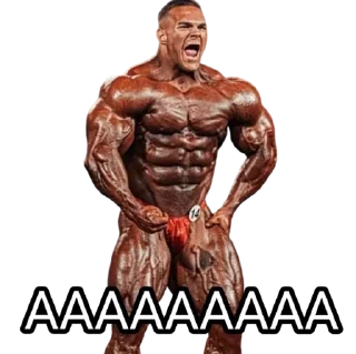 Sticker ФЖБР - 7