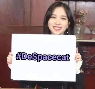 Стикер 𝑺𝒑𝒂𝒄𝒆𝑪𝒂𝒕 Steal Pack - 10