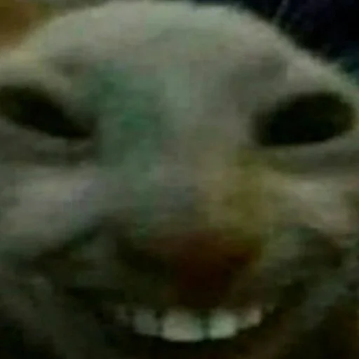 @g_4N1's pack 1 - text