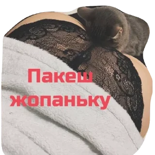 Стикер Echovsky pack - 11