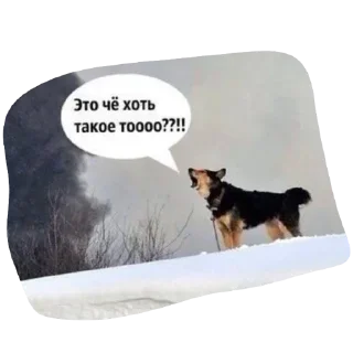 Стикер Echovsky pack - 0