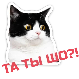 Стикер Echovsky pack - 8