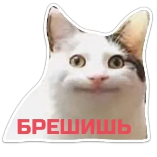 Стикер Echovsky pack - 9