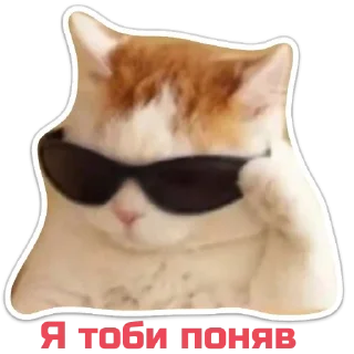 Стикер Echovsky pack - 1