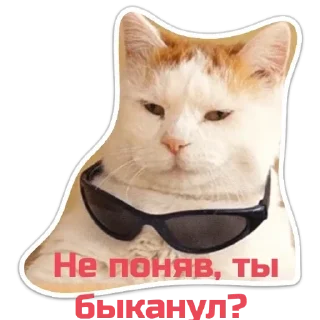 Стикер Echovsky pack - 3