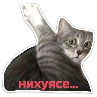 Стикер Echovsky pack - 7