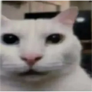 Sticker хуйхуйпизда - 7