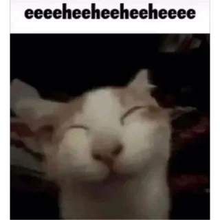 Sticker хуйхуйпизда - 5