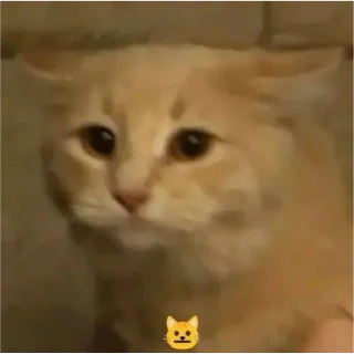 Sticker хуйхуйпизда - 1