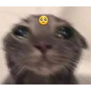 Sticker хуйхуйпизда - 3