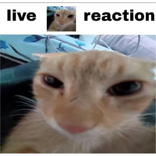 Sticker хуйхуйпизда - 10