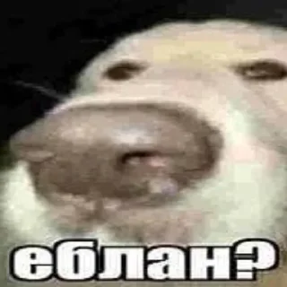 Sticker Создано в @sozdsti_bot - 5