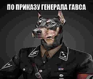 Sticker Создай свои стикеры - @sozdsti_bot - 1