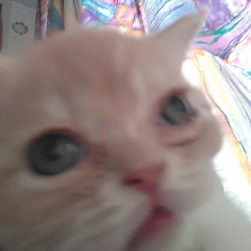 Sticker A fucking cat - 6