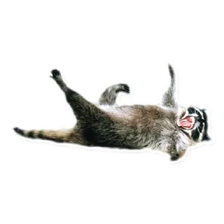 Sticker Стикеры тут 👉 @Femoji - 1