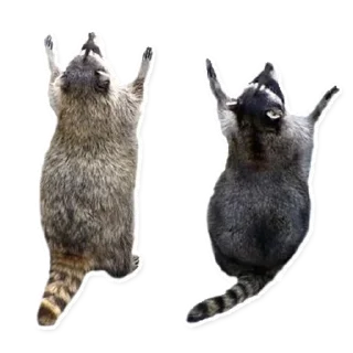 Sticker Стикеры тут 👉 @Femoji - 11