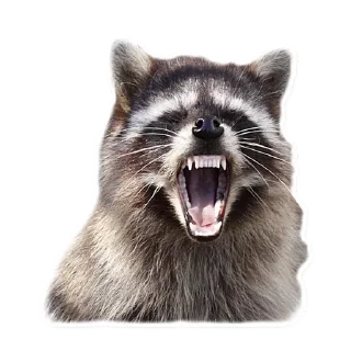 Sticker Стикеры тут 👉 @Femoji - 0