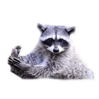 Sticker Стикеры тут 👉 @Femoji - 7