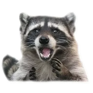 Sticker Стикеры тут 👉 @Femoji - 4