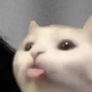 Стикер Создано в @sozdsti_bot - 6