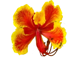 Sticker @Crepusculo_sol_e_lua_11's SmudgeLord v5 - 2