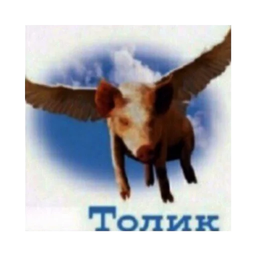 СМС животное небо