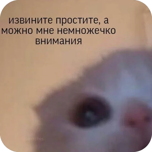 Sticker a_k_kira - 1