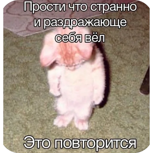 Sticker a_k_kira - 1