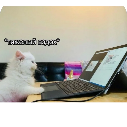 Sticker a_k_kira - 1