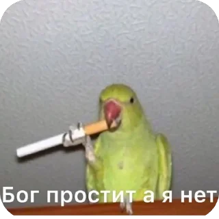 Sticker @a_k_kira - 0