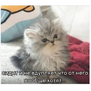 Sticker @a_k_kira - 2