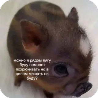 Sticker @a_k_kira - 5