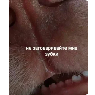 Sticker @a_k_kira - 4