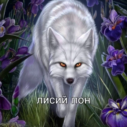 Стикер кр вахуи - 10