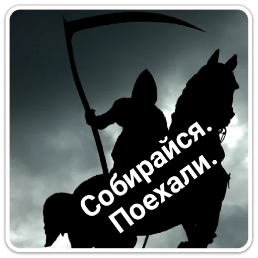 лошадь животное млекопитающее