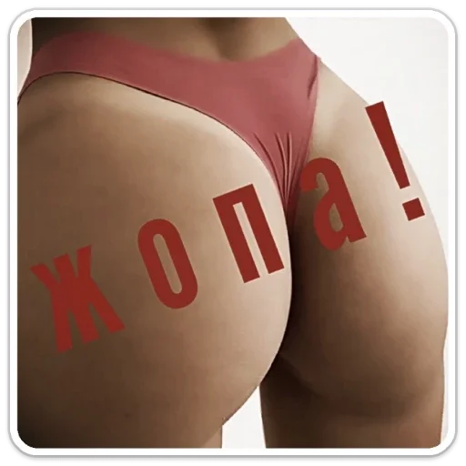 предмет нижнего белья желудок трусы