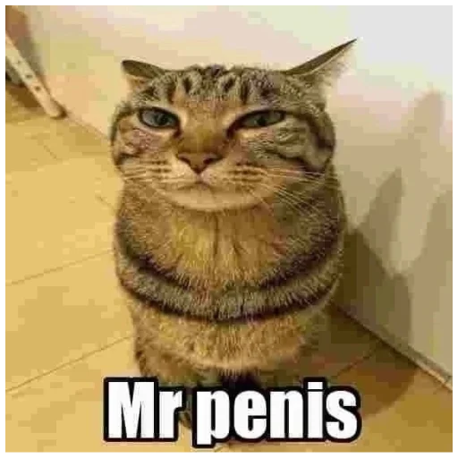 Mr Penis - животное