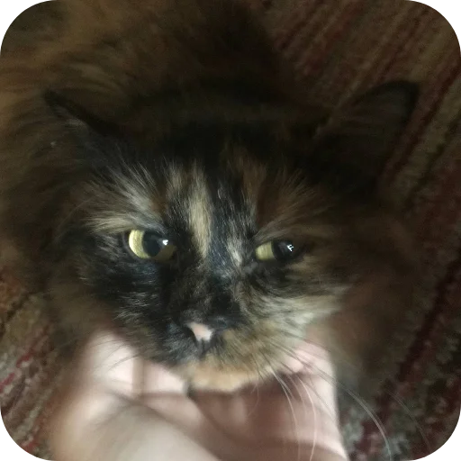 Sticker aaaaass2 - 1