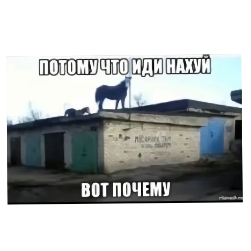 Sticker aaaaass2 - 1