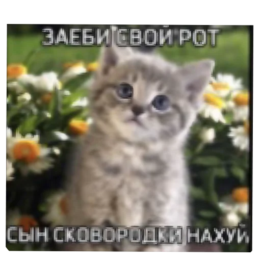 Стикер aaaaass2 - 1