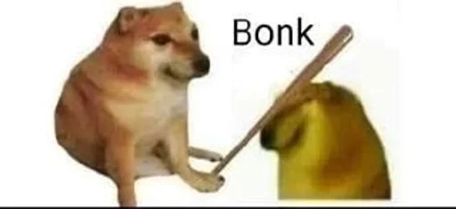 домашнее животное порода собак собака