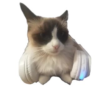 Стикер тничсх кор - 4