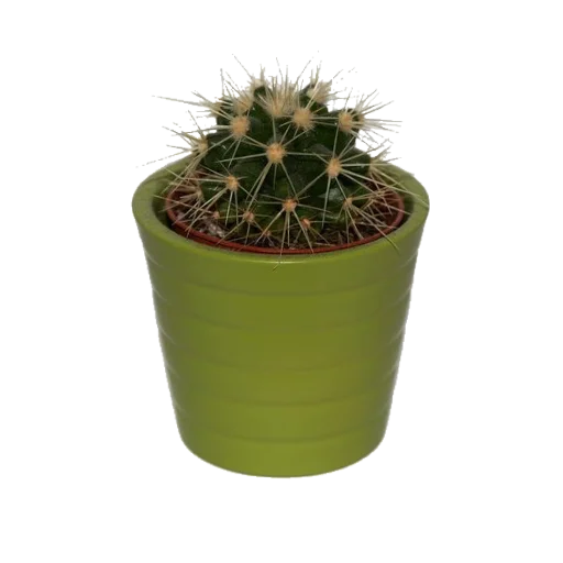 Sticker aaestheticss - 1