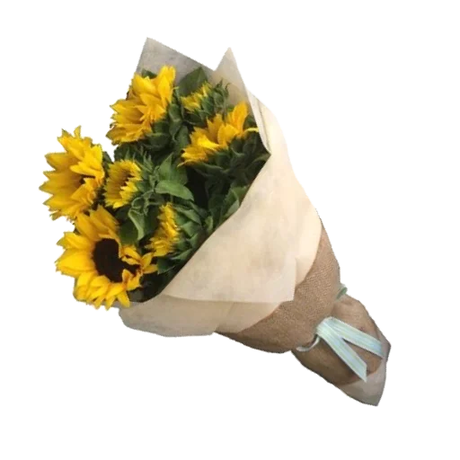 Sticker aaestheticss - 1