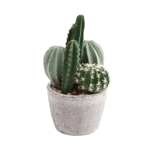 Sticker aaestheticss - 1